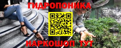 индика Новокубанск