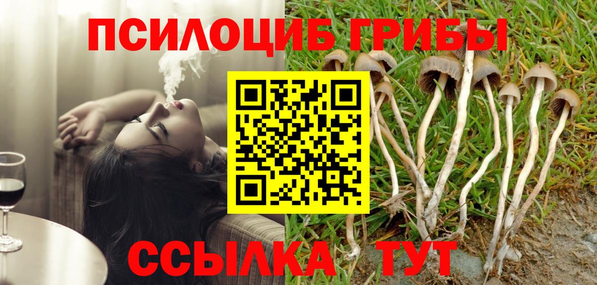 Псилоцибиновые грибы Cubensis Серов